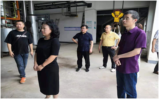 区国资委领导到固废整治公司进行安全大检查